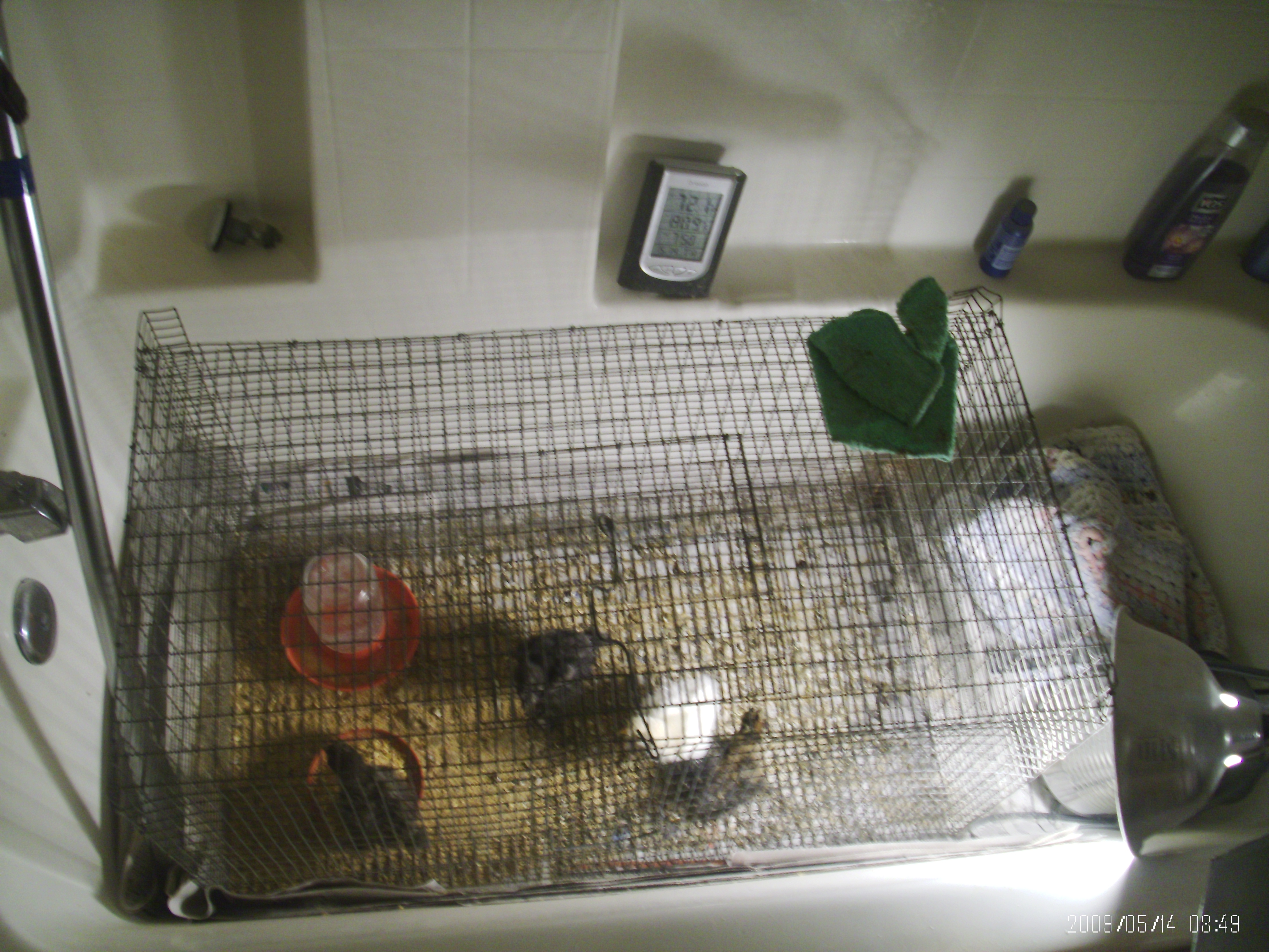don't take a bath here!